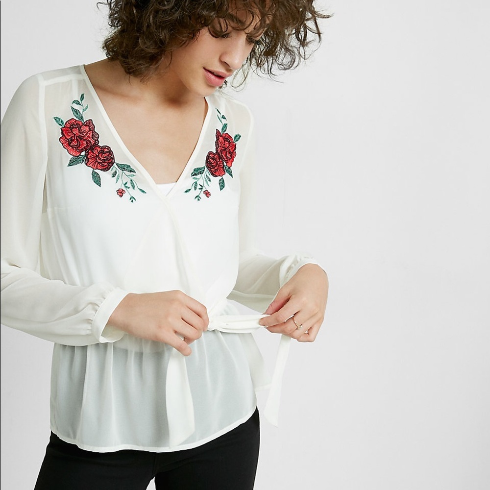 Embroidered Sheer Deep V Surplice Blouse